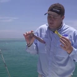 Hard Baits Nomad Design Chug Norris Poppers -Flambeau Outdoors-shop image 315