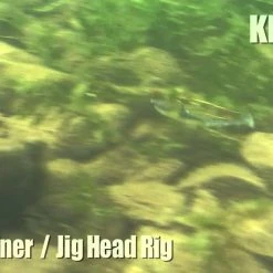 Keitech Easy Shiner Swimbaits -Flambeau Outdoors-shop image 320