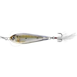 Frogs LIVETARGET Flutter Sardine