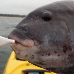 Costa Del Mar South Point 580P Polarized Sunglasses